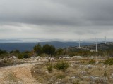 DSCN1812